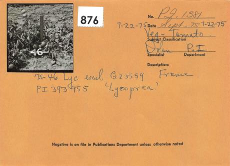 Click for 2 image(s) for this accession. Field